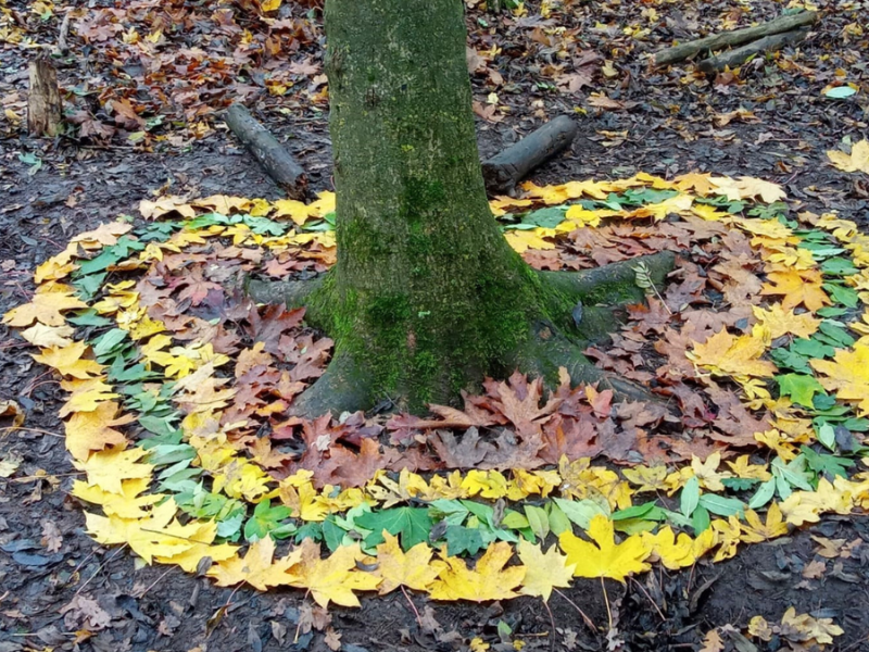 Land art by Year 6 pupils from St Marys Catholic Primary School Redditch.