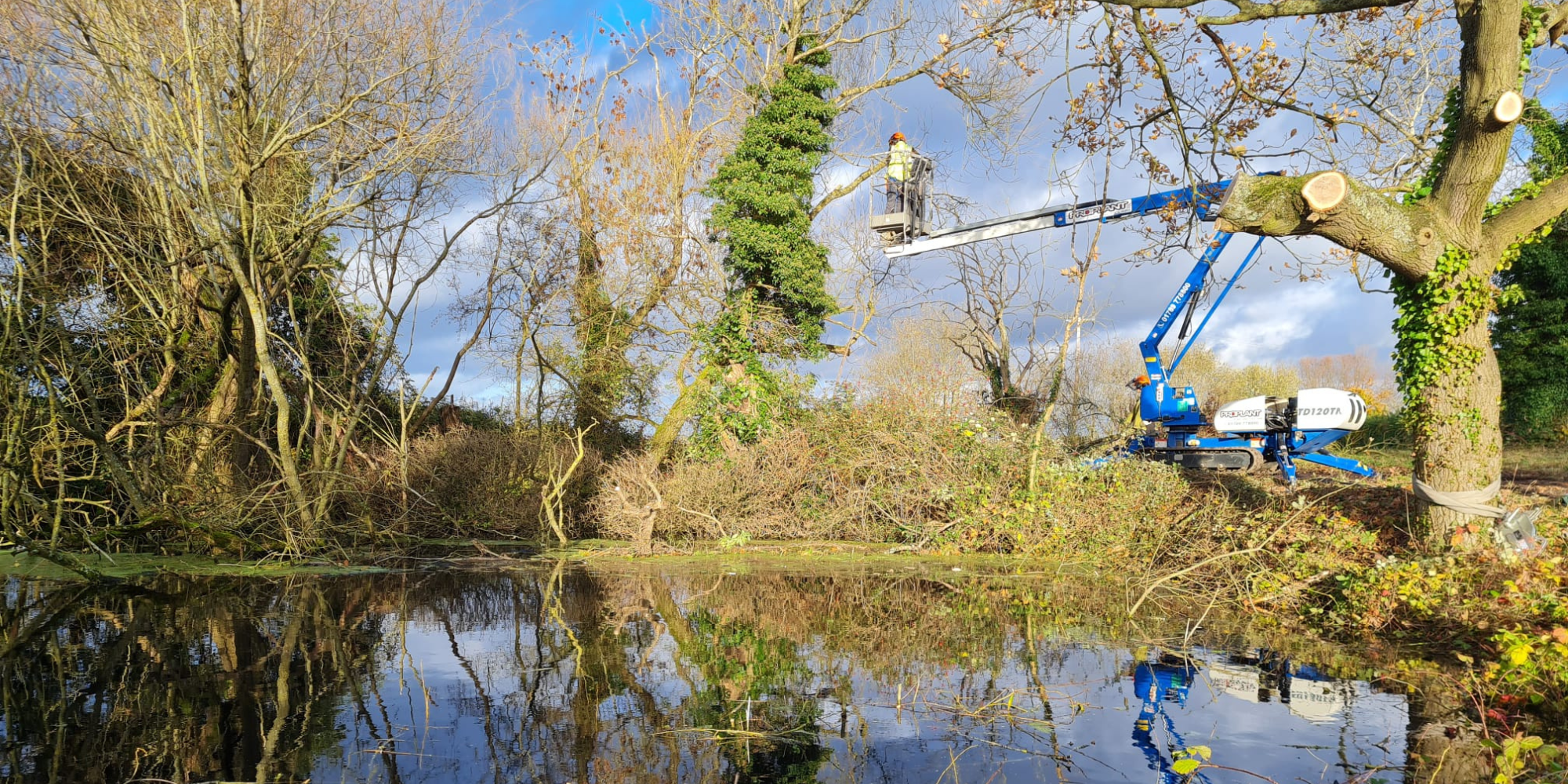 An Assistant Forest Ranger using a MEWP to prune branches next to a pond in the Forest.