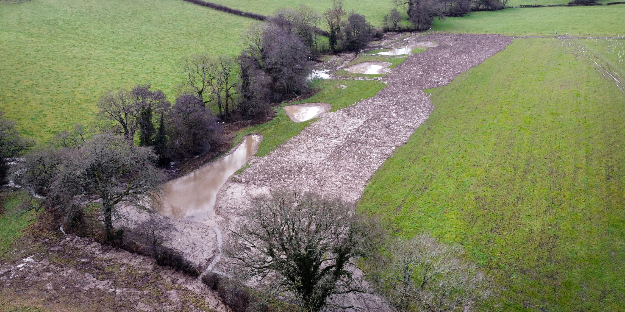 The new wetland scrape complex at Oak Wood.