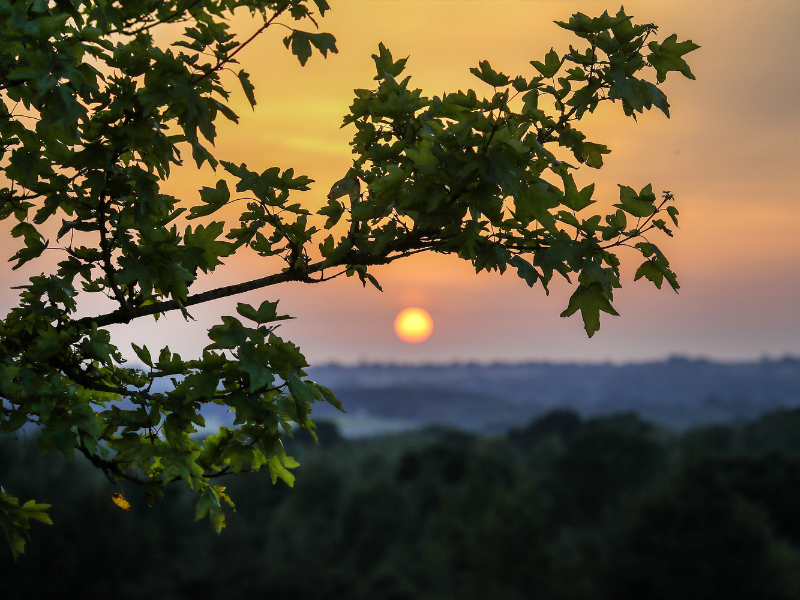 The sun setting over Alne Wood Park Burial Ground