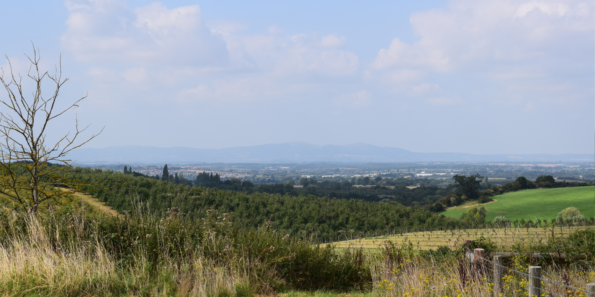 A view over Sheriff's Lench.