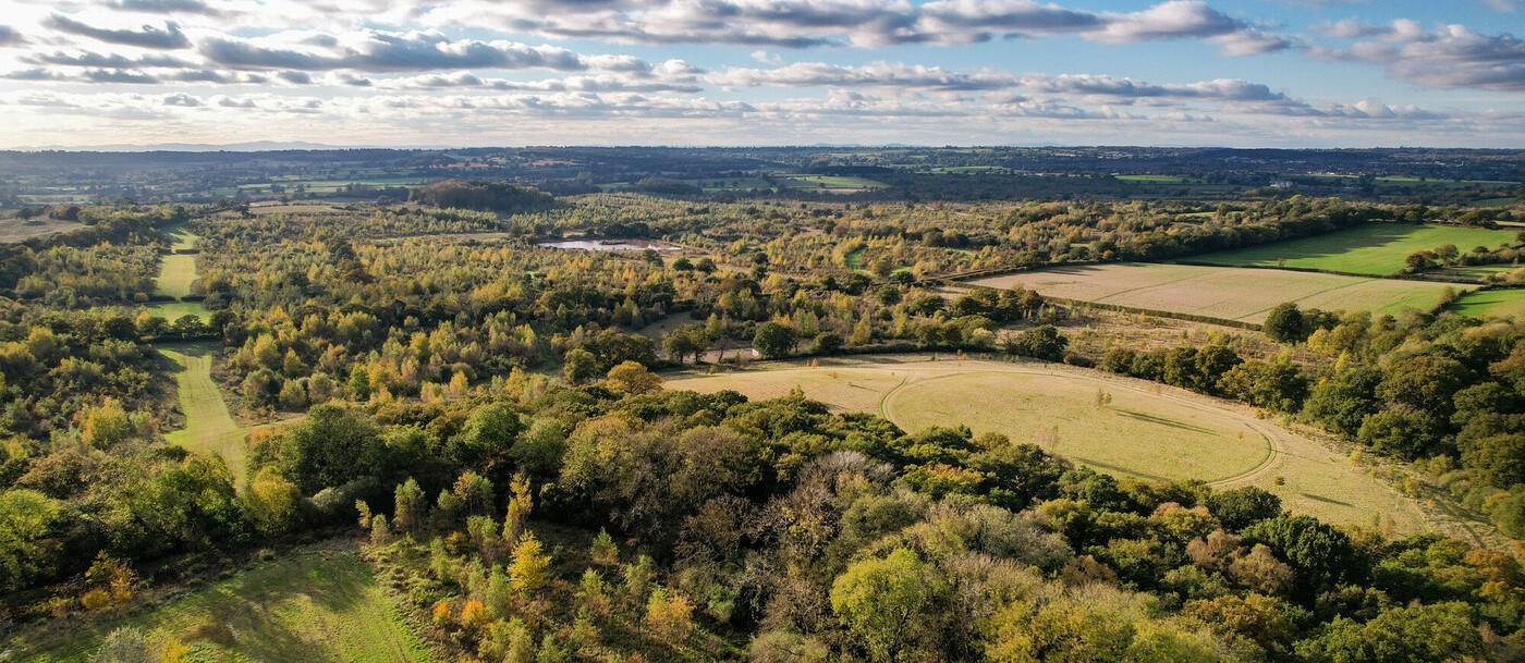 Aerial view of trees and grassland in the Forest taken on a sunny autumnal day