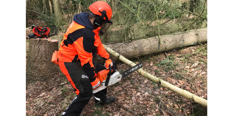 A female member of the forestry team chainsawing in the Forest.