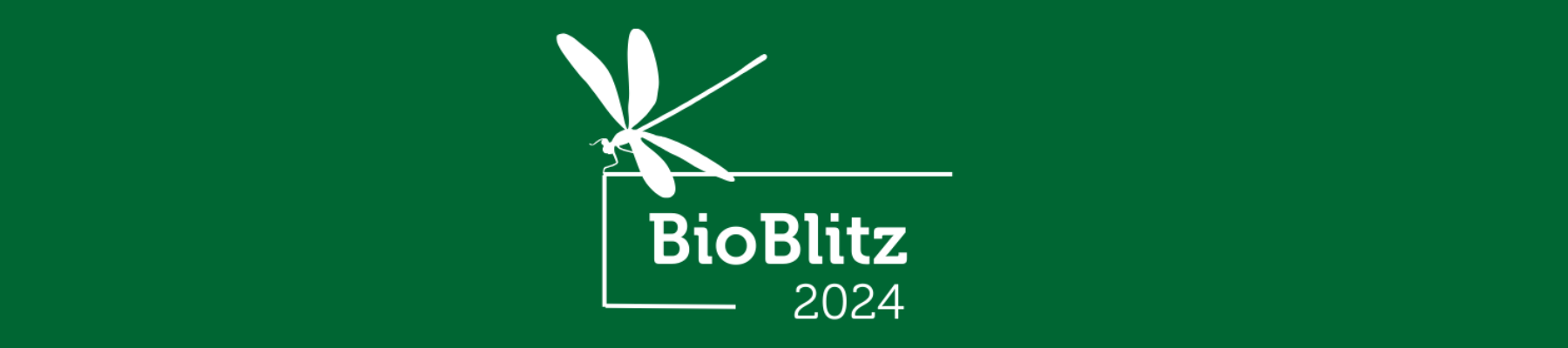 BioBlitz 2024 logo on green background