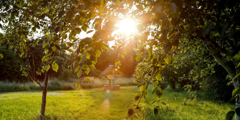 The sun setting in the arboretum - a wishing well is nestled away in the background