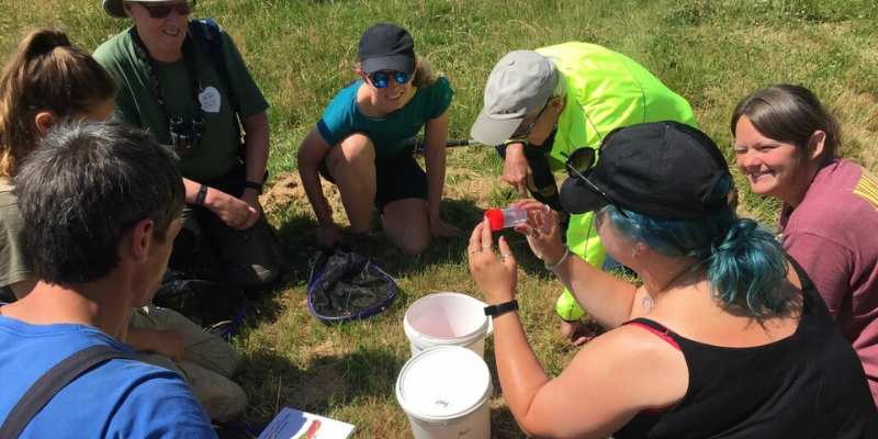 A mix of staff and volunteers undergoing survey training