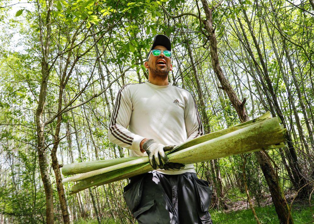 A male volunteer walking through a clearing in the Forest, surrounded by tall trees. He is wearing sunglasses and carrying some protective tree tubes which have been removed from trees