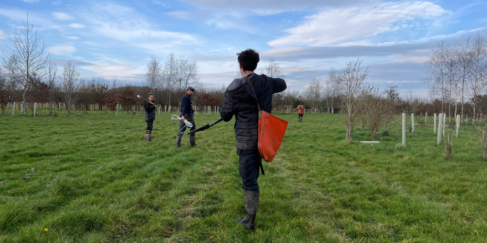 Harrison from behind walking to meet the team tree planting in the Forest