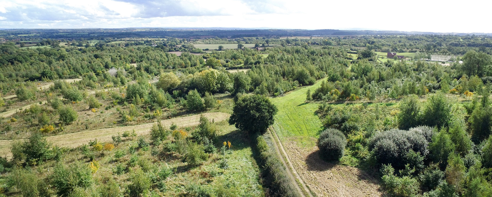 An aerial view of some of the Spernal area of the Forest which Harrison has been working in during his supported internship