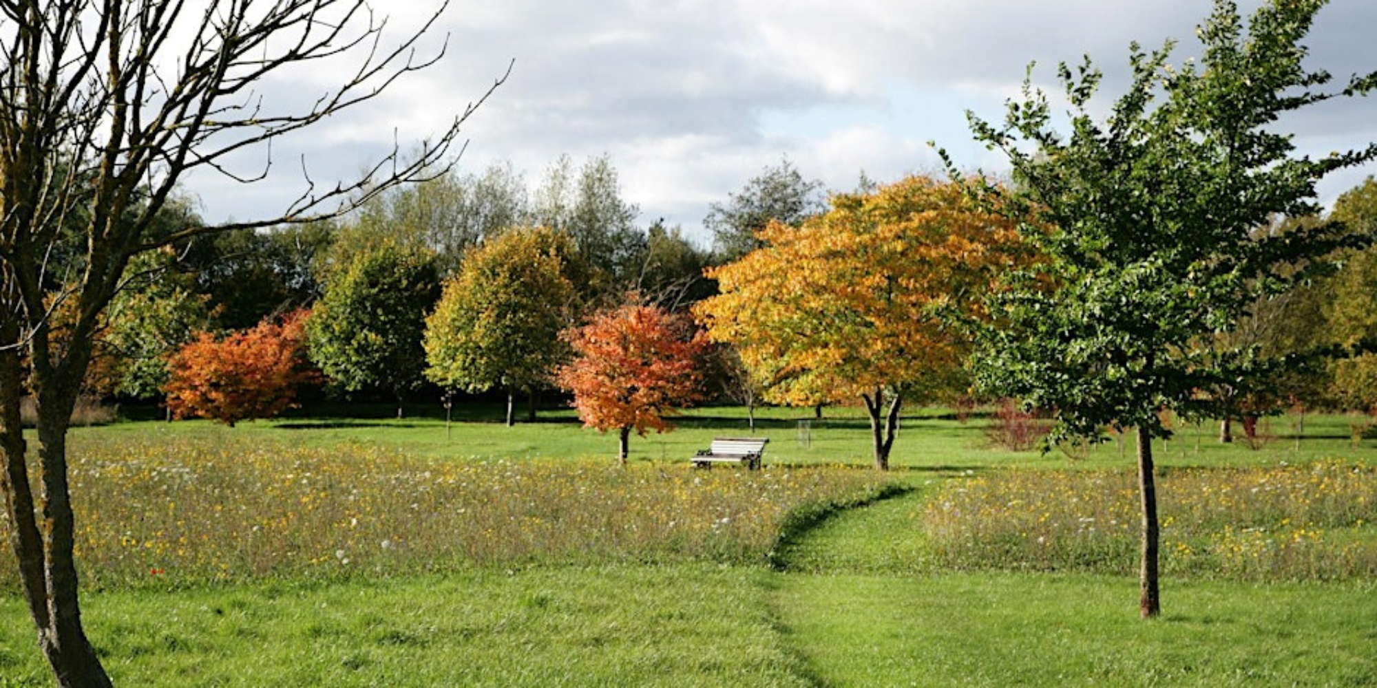 The arboretum in autumn