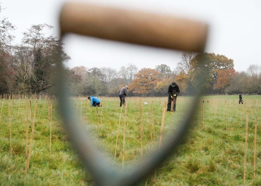 A photo of volunteers tree planting taken through the handle of a spade that is in the foreground