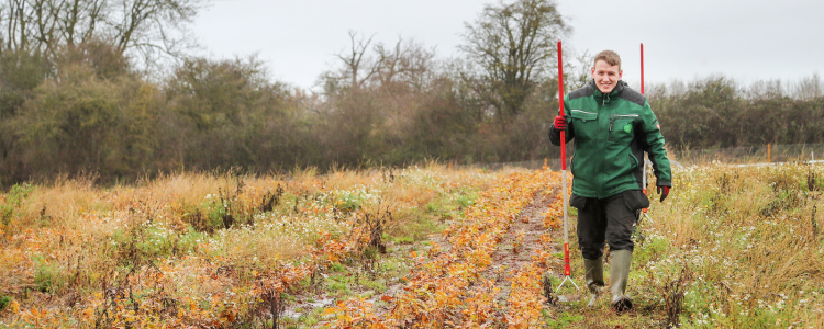 A photo of tree nursery assistant Matt walking through rows of young saplings