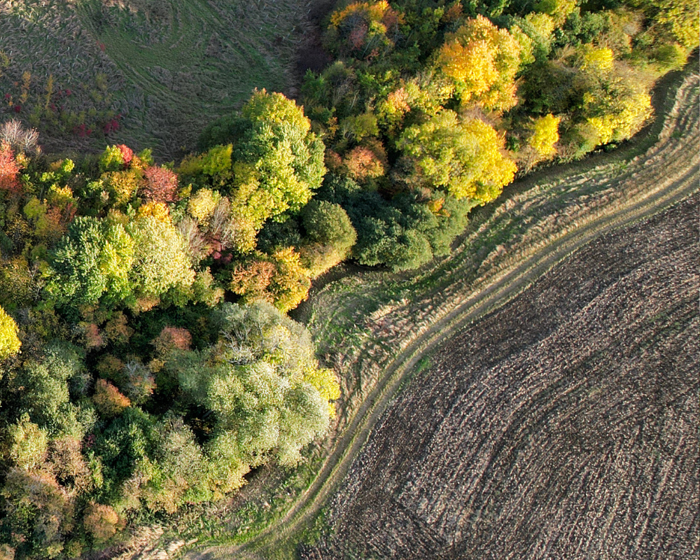 Scalloped edges at Gorgot Hill from a birds eye view
