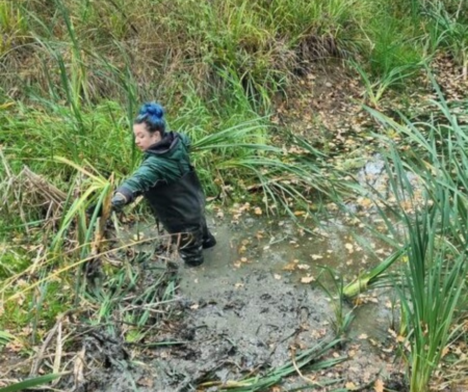 Tasha completing pond clearance in the winter