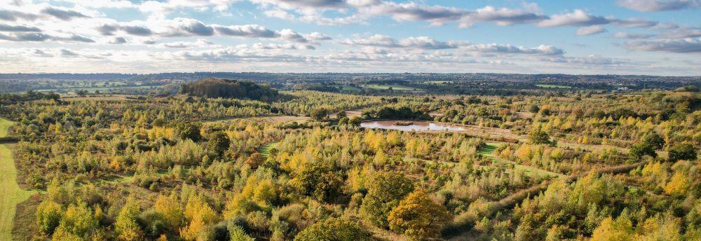 Aerial view of trees, wetland and open rides with a blue sky on a sunny day