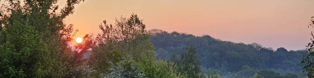 Sunrise over the woodlands. Tranquility.
