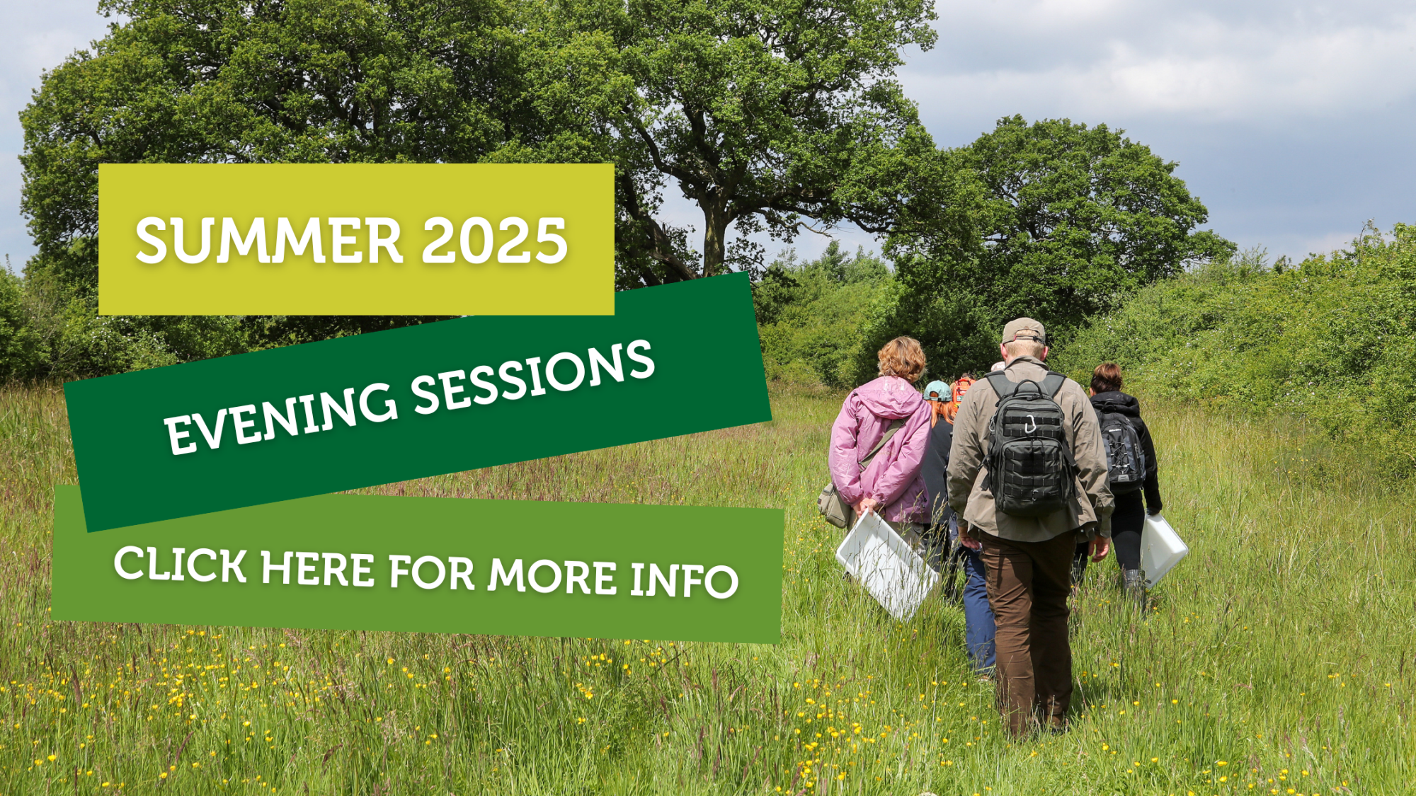 Volunteers walking into the Forest with surveying equipment. Summer 2025, evening sessions text over the top
