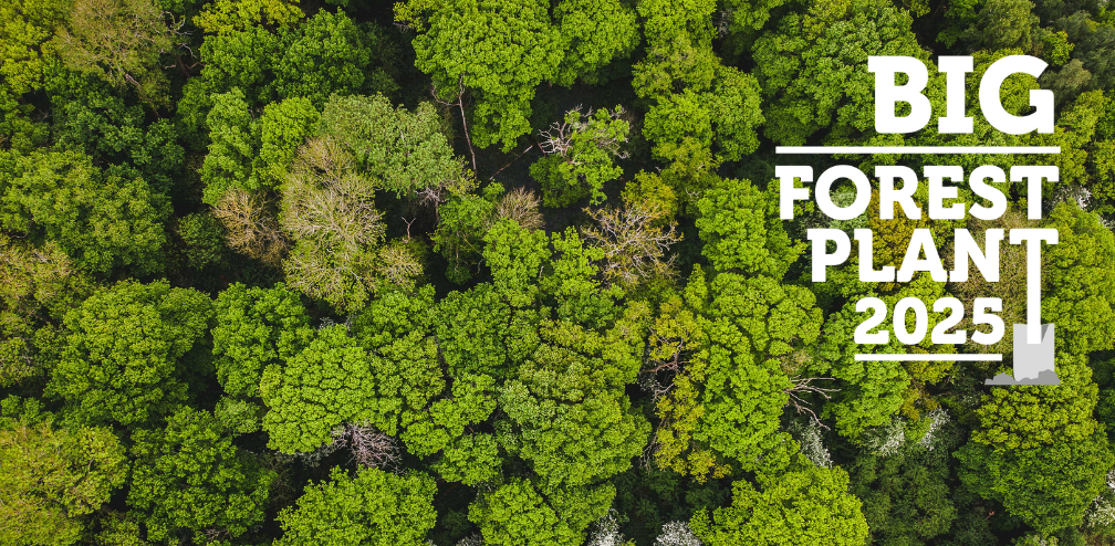 A lush green canopy of the Forest from a birds eye view with the big forest plant logo in the corner