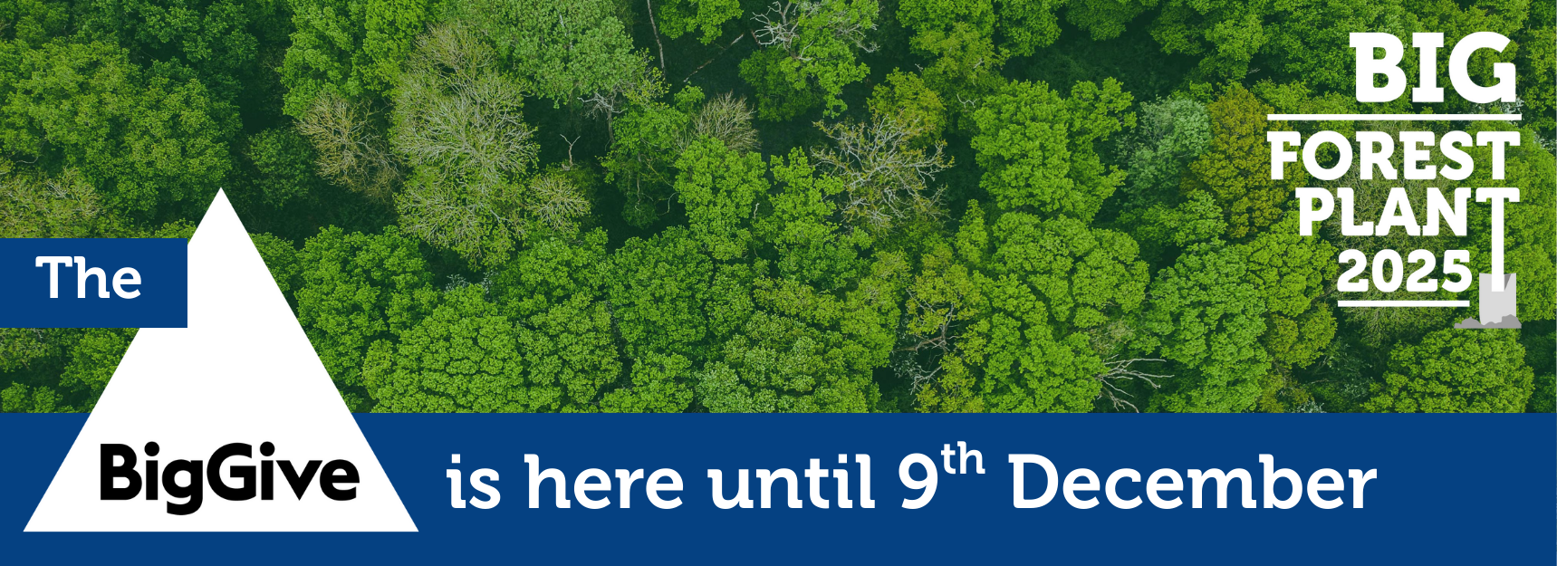 A green canopy with the Big Give and the Big Forest Plant over layer