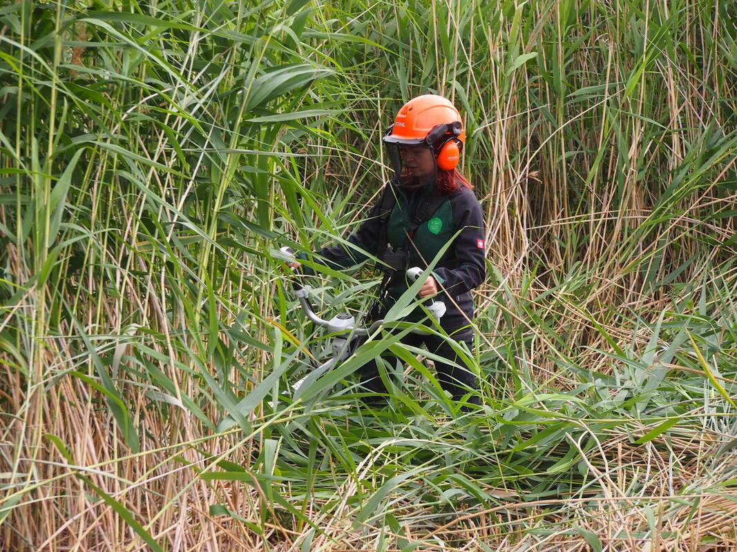 Biodiversity Officer Avery completing pond clearance, wearing full PPE