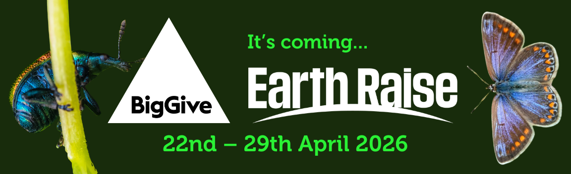 Save the date for Earth Raise and Big Give. It show cases a common blue and aspen rolling leaf weevil