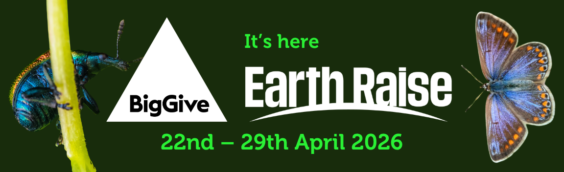 A banner that displays the Big Give and the Earth Raise banner, it features a weevil and a butterfly