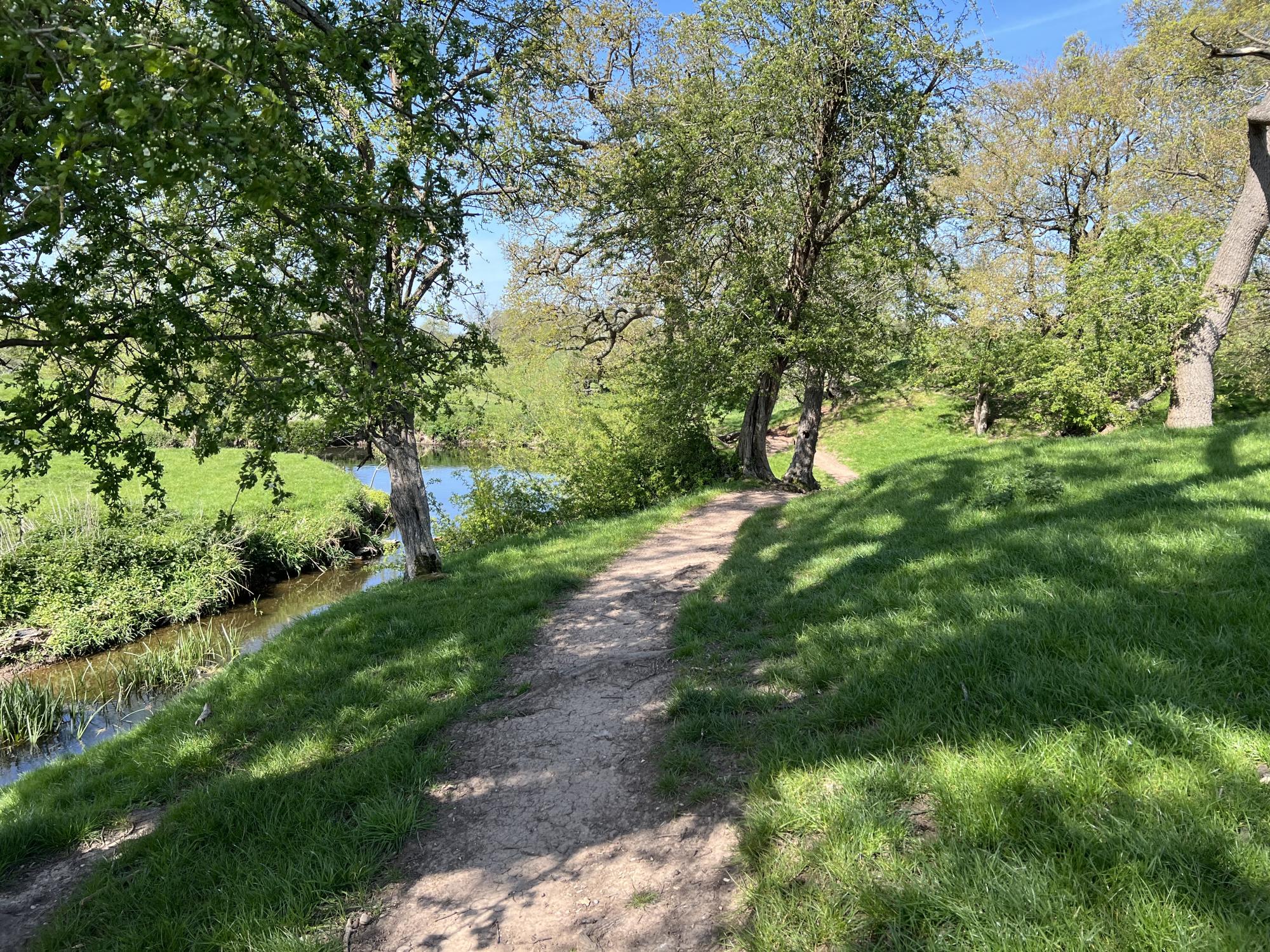 A scenic path past the river arrow, the trees are in leaf. Lush and green. 