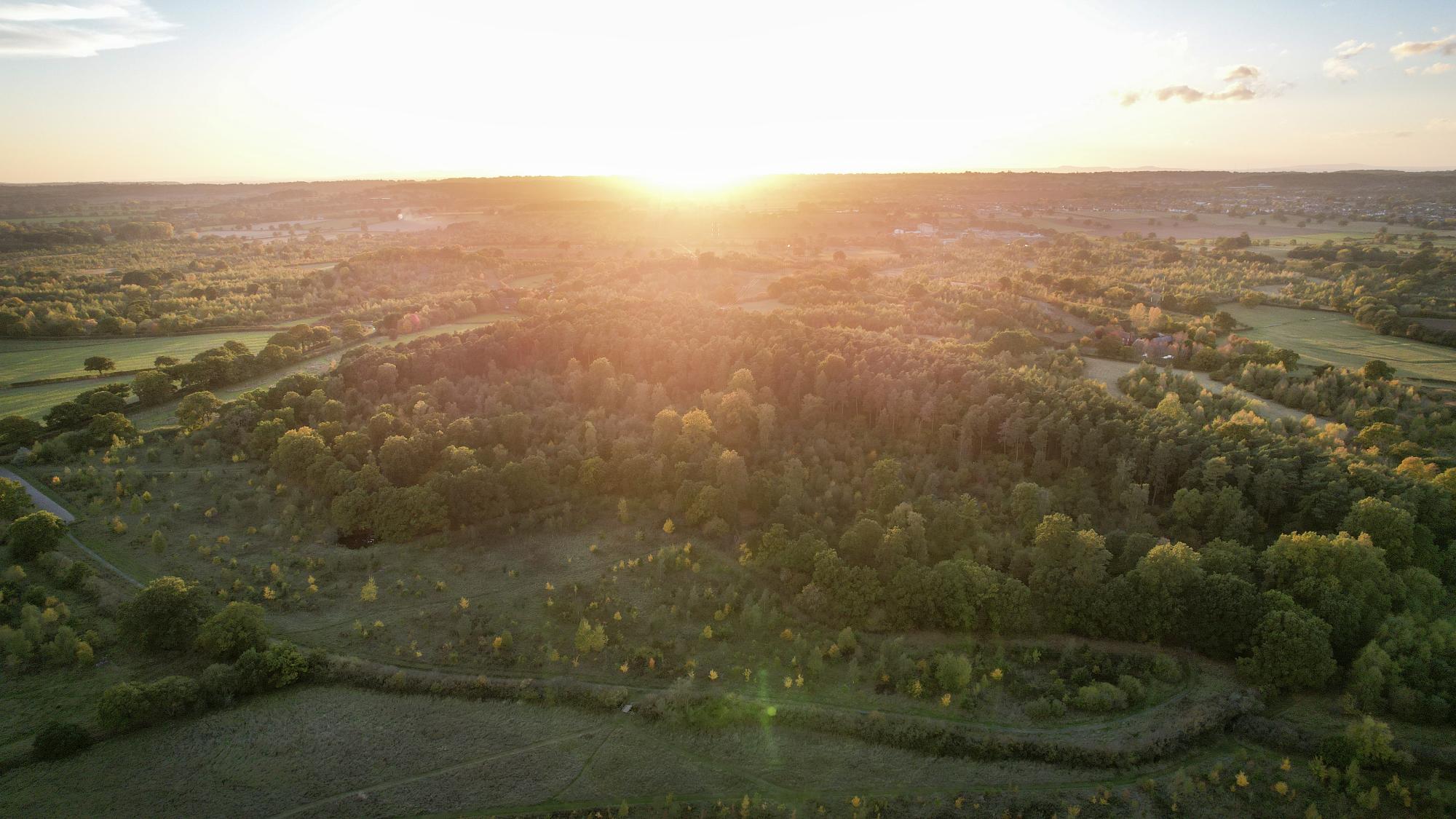 The sunset over the Forest 