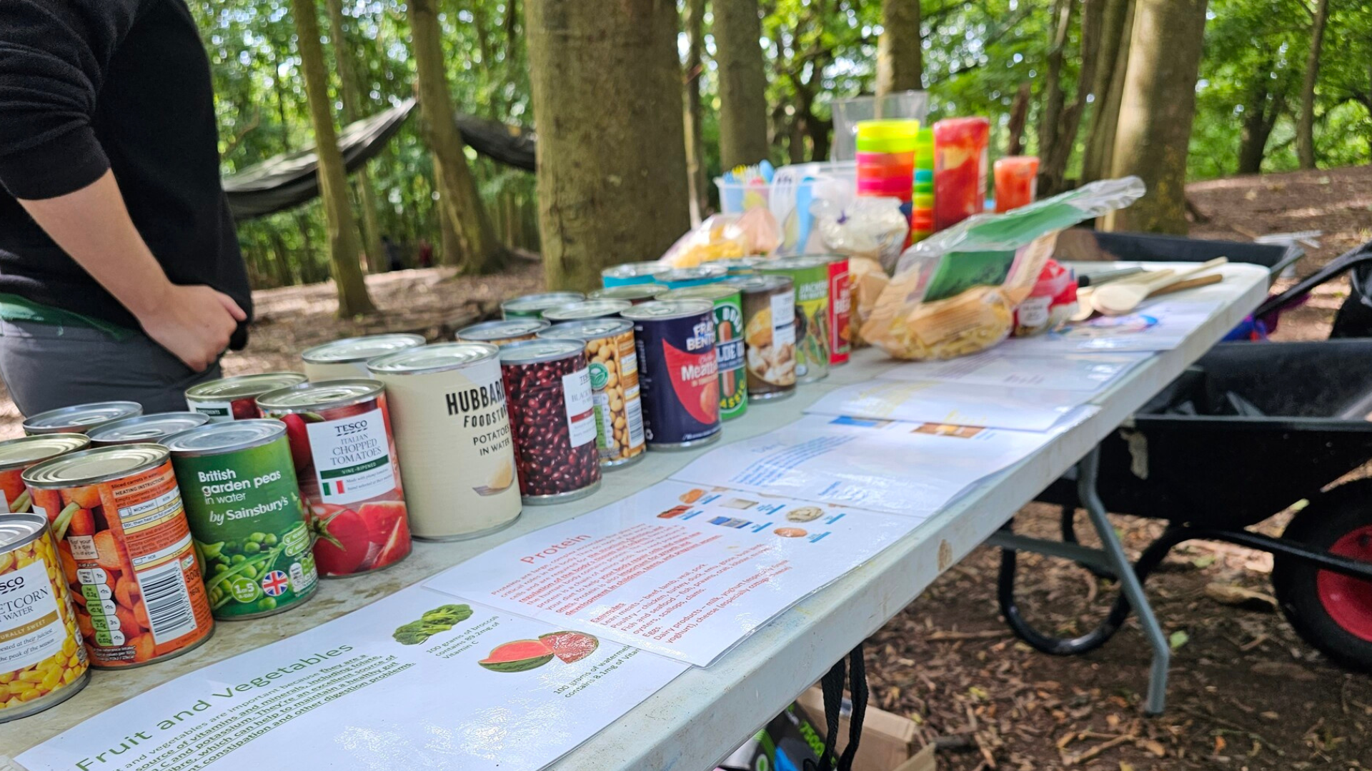 A row of food selections with nutrition value sheets in the front, woodland in the background