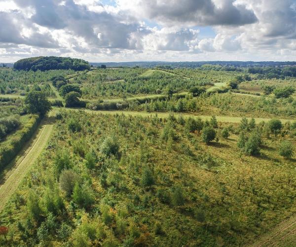 An aerial view of Spernal and Windmill Hill