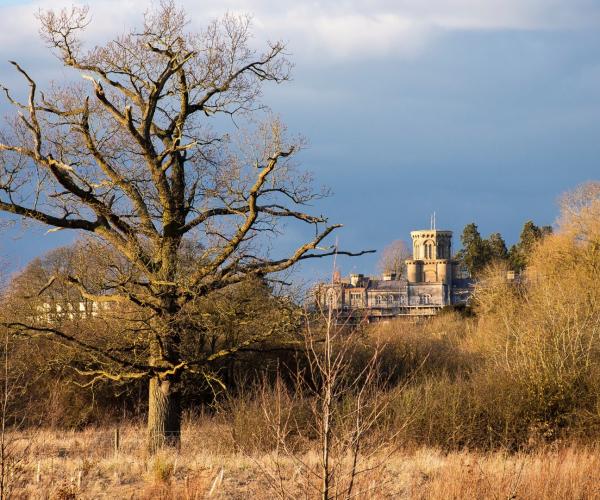 View of Studley Castle with mature tree in the foreground 