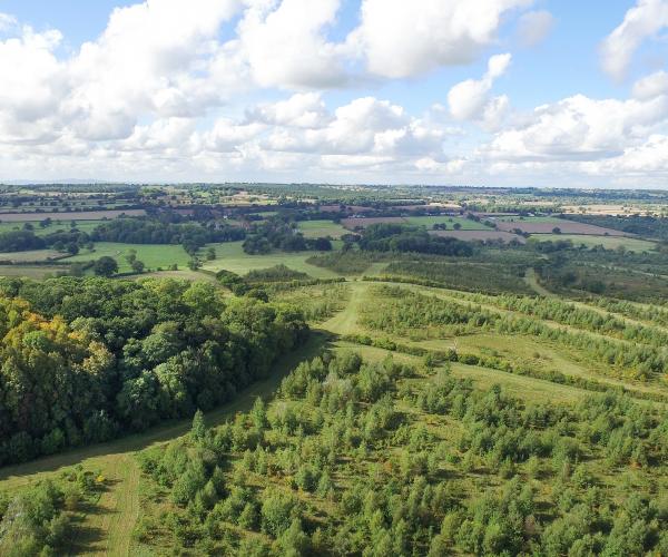 Aerial view of the Forest looking out to Windmill Hill