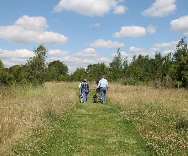 People and dogs walking the footpath through grassland and young trees