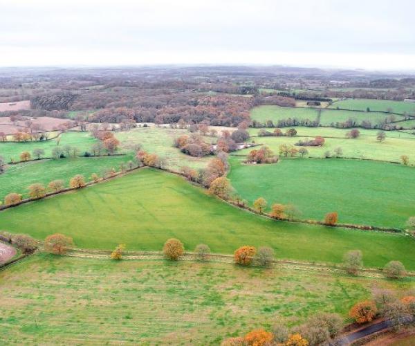 An aerial views of the new land acquired at Oak Wood