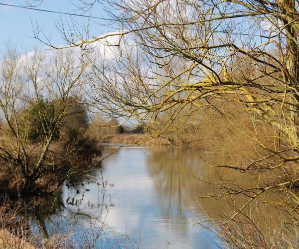 a view of the River Avon from our riverside trail walk