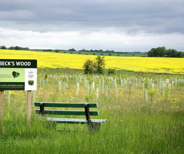 A bench and sign in Beck's Wood