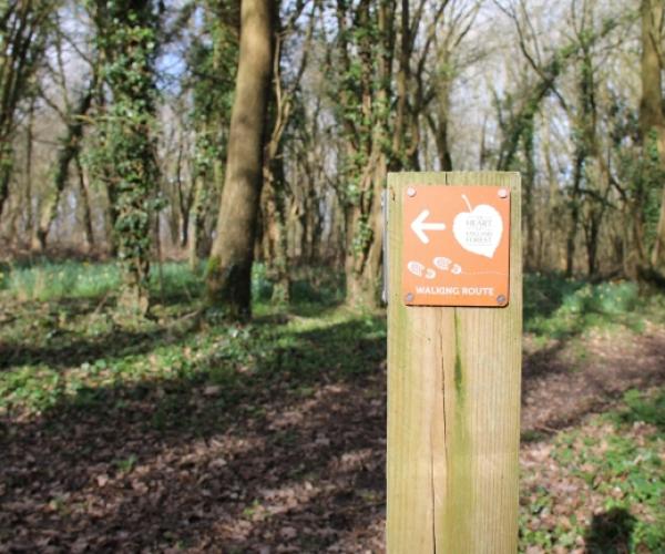 Close up of a footpath sign in the Forest