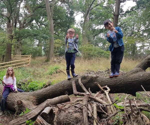 Two boys and a girl standing and sitting on a log smiling
