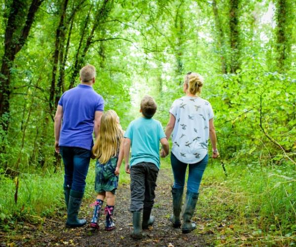 A family walking a long a woodland path, looking up to the tree canopy