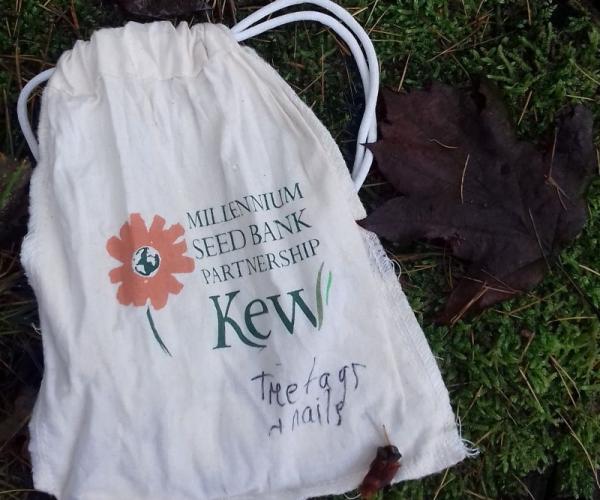 Kew's Millenium Seed Bank Partnership drawstring bag