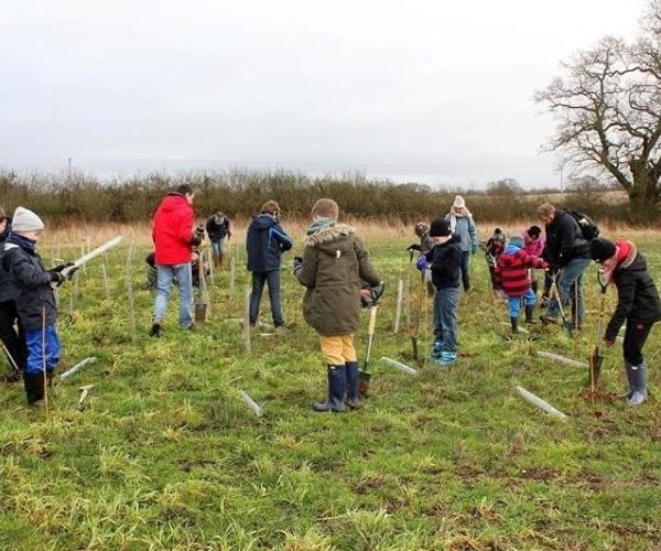 The Shipston cub group planting trees in the Forest