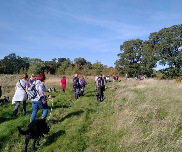 Group of people and dogs walking through an open area of the Forest