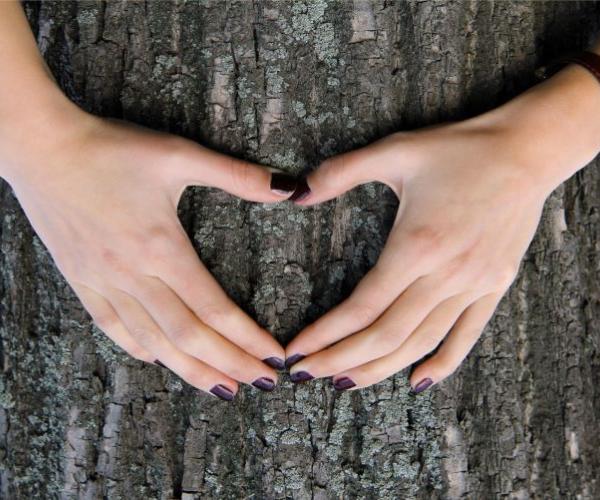 Hand making a love heart shape in front of a tree bark