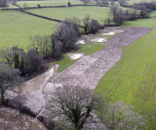 Aerial view of wetlands in Oak Wood