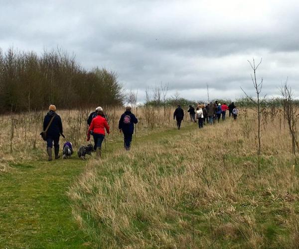 Group of people and dogs walking through an open area of the Forest