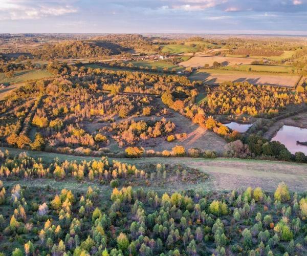 Aerial photo of trees, fields and ponds in the Middle Spernal area of the Forest in late autumn sunlight