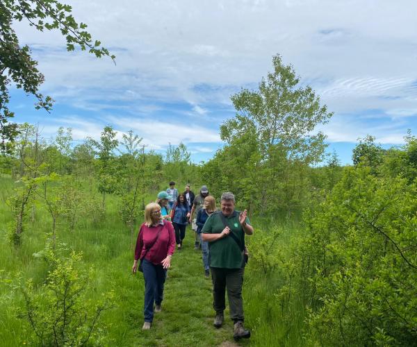 A group of people walking through a young woodland in Spring.