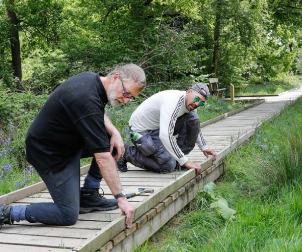 Two male volunteers kneeling on the boardwalk on our accessible trail fixing a side board