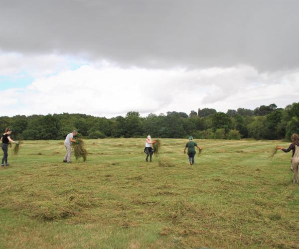 Tasha, Phoebe and volunteers spreading hay under a looming dark cloud