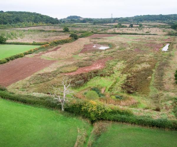 A drone shot of Netherstead's wetlands 